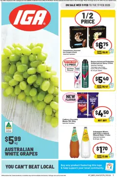 Preview of IGA Catalogue NT - valid from 11.02.2026
