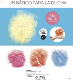 Violetta catálogo │ válido desde el 28.08.2025 | Página: 113 | Productos: Ducha, Esponja