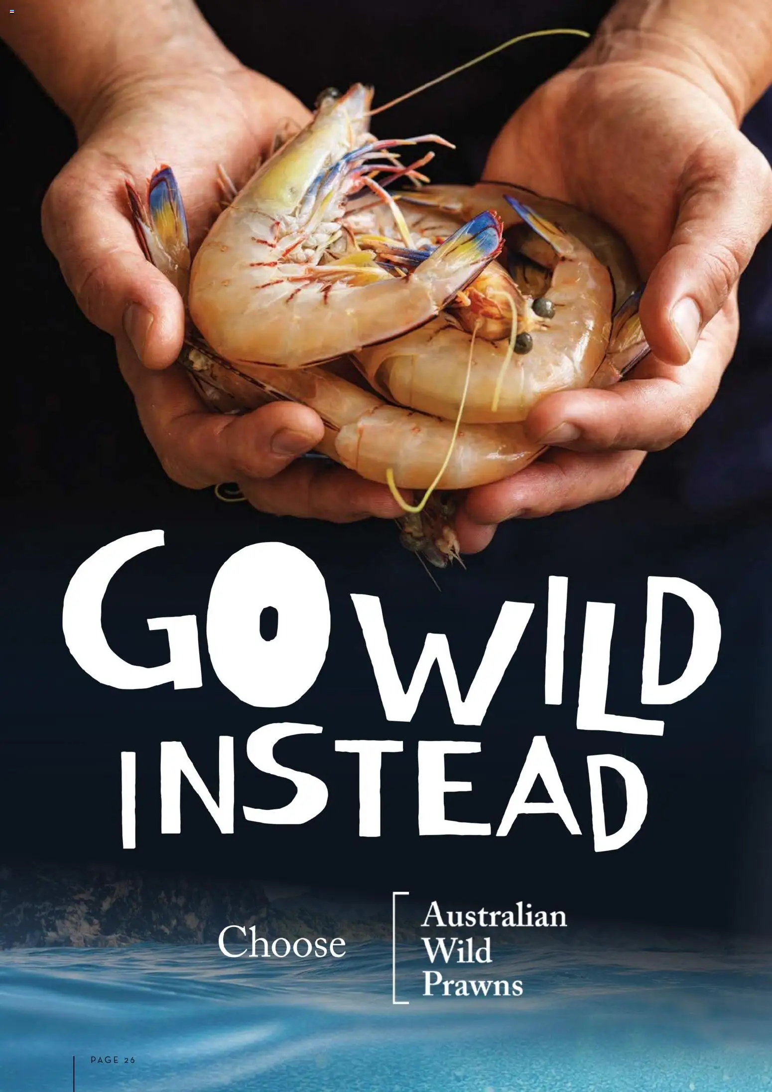 Drakes catalogue - valid from 01.01.2026 | Page: 26 | Products: Prawns