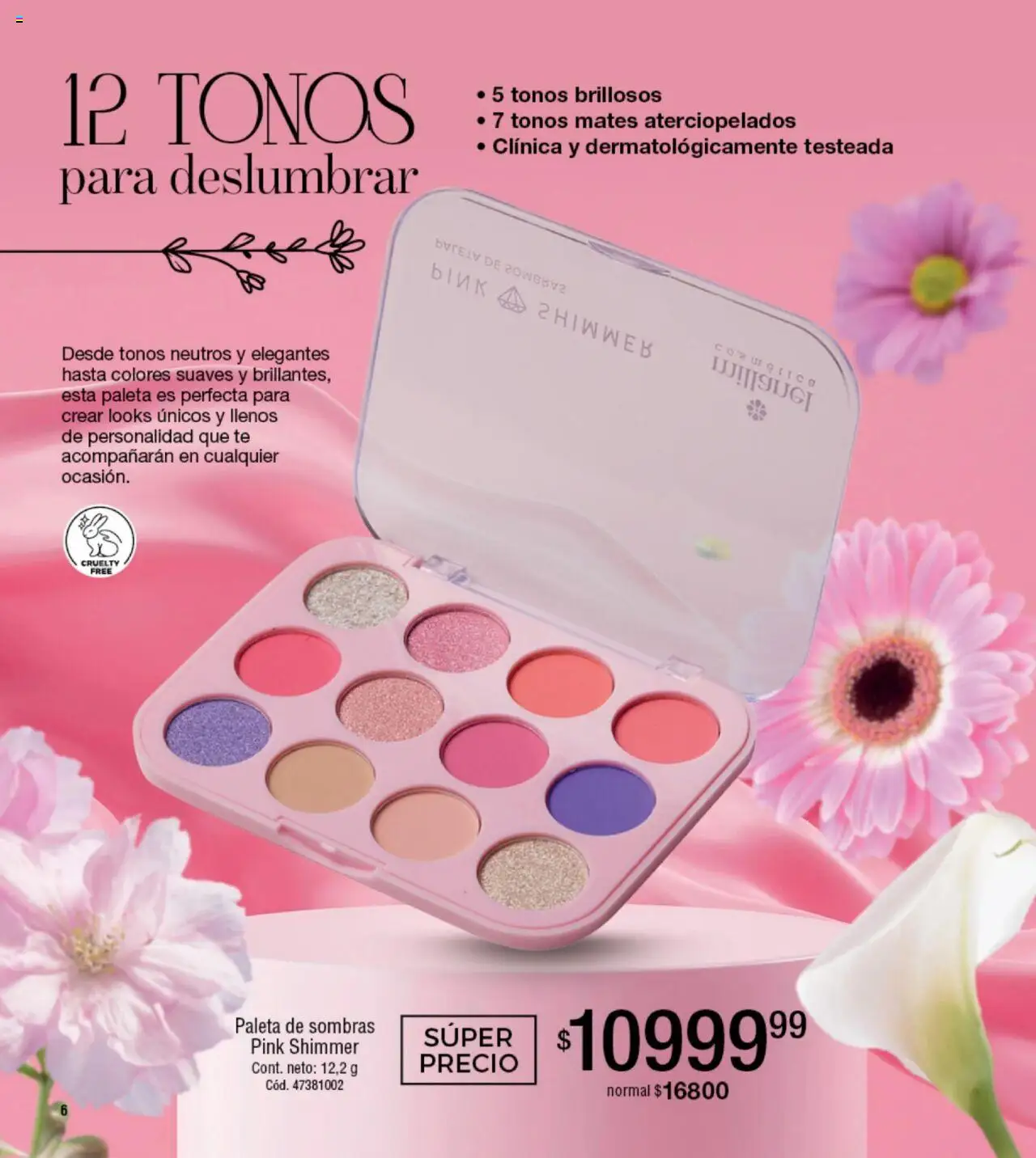 Millanel catálogo │ válido desde el 18.08.2025 | Página: 6 | Productos: Paleta, Té
