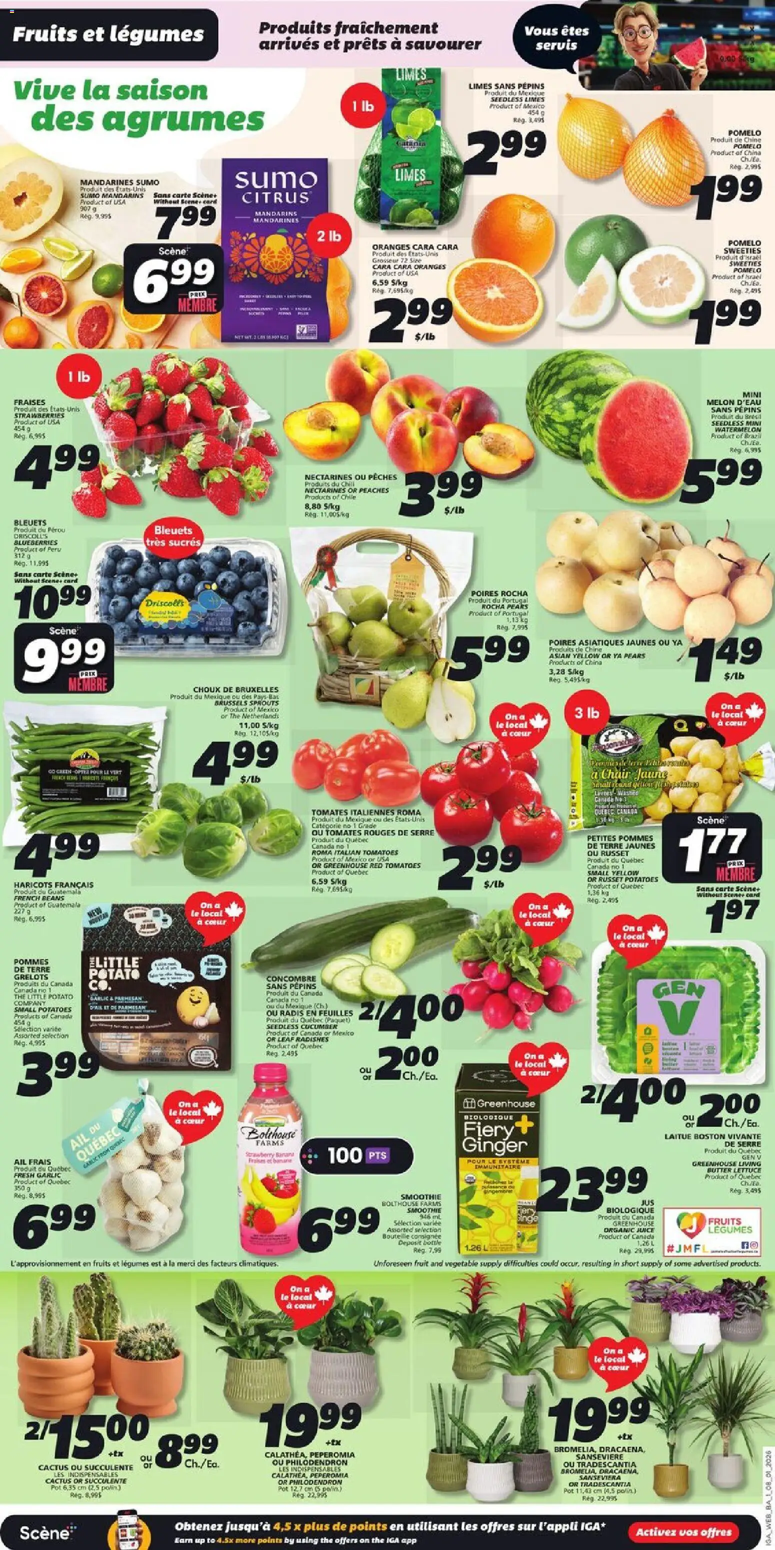 IGA flyer valid from 08.01.2026 | Page: 3 | Products: Strawberries, Potatoes, Chair, Juice