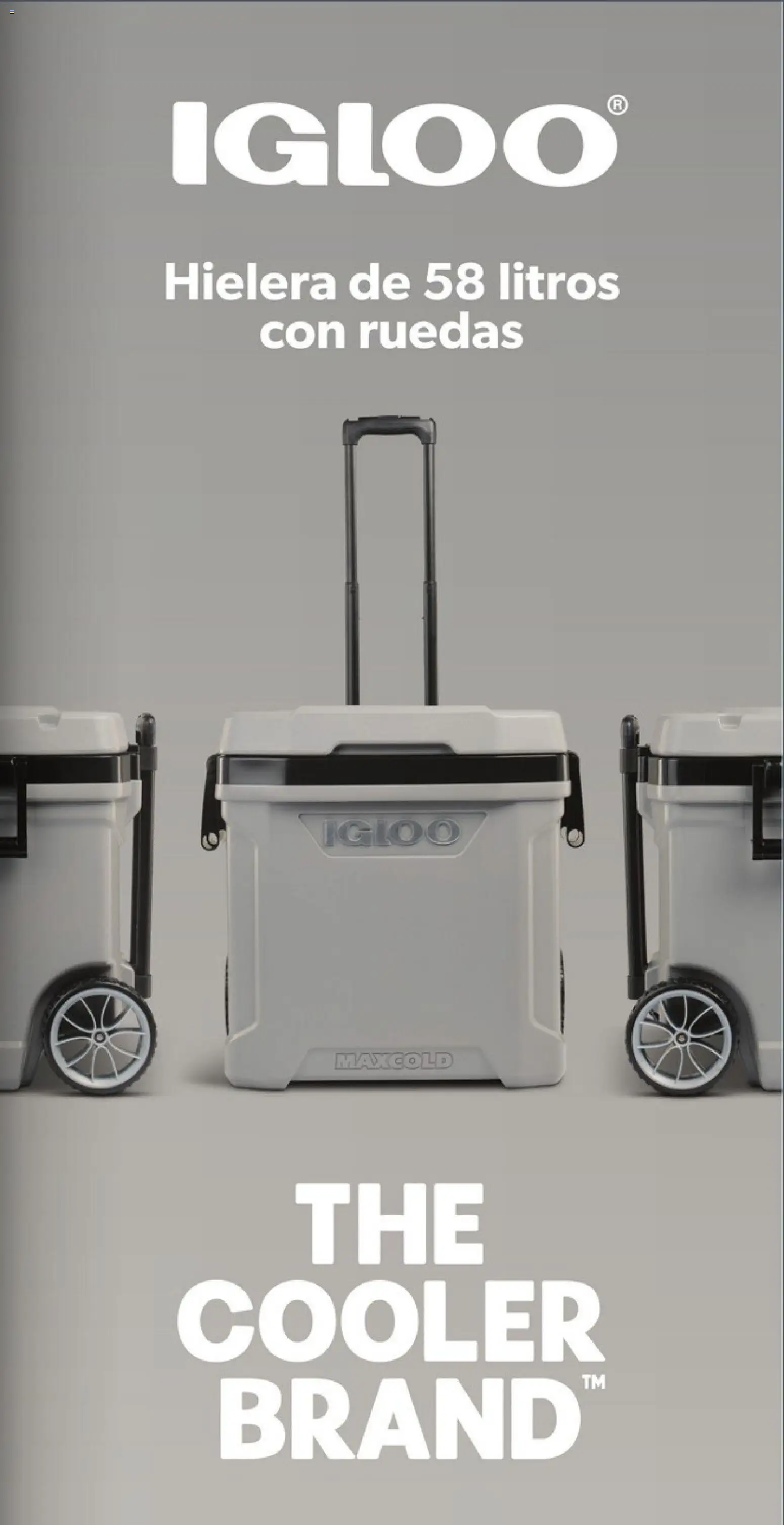 Nuevas ofertas de Costco válidas en toda la República Mexicana desde el 22.12.2025. ¡Encuentra las mejores ofertas en Costco catálogo! | Página: 17 | Productos: Hielera