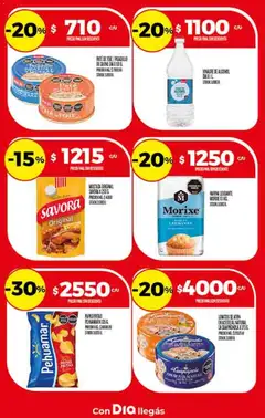 Vista previa Dia - Ofertas - Excluye Salta y Jujuy válido desde el 26.11.2025 | Página: 9