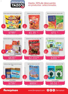 Vista previa Ferniplast catálogo válido desde el 06.11.2025 | Página: 6