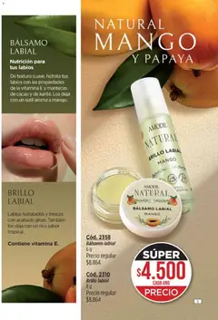 Vista previa Catálogo Amodil Campaña 5 válido desde el 01.03.2026 | Página: 5 | Productos: Brillo, Bálsamo, Mango, Cacao