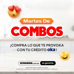 Vista previa de folleto Hiraoka catálogo de la Hiraoka válido desde 14.04.2026