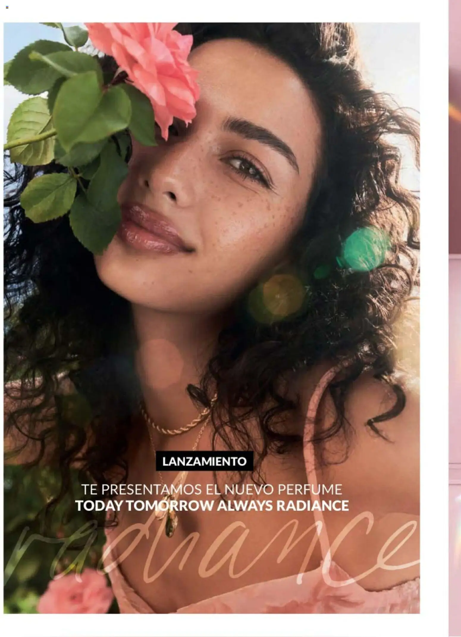 Nuevas ofertas de AVON válidas en toda la República Mexicana desde el 07.11.2025. ¡Encuentra las mejores ofertas en AVON campaña 17 2025! | Página: 38 | Productos: Té, Perfume