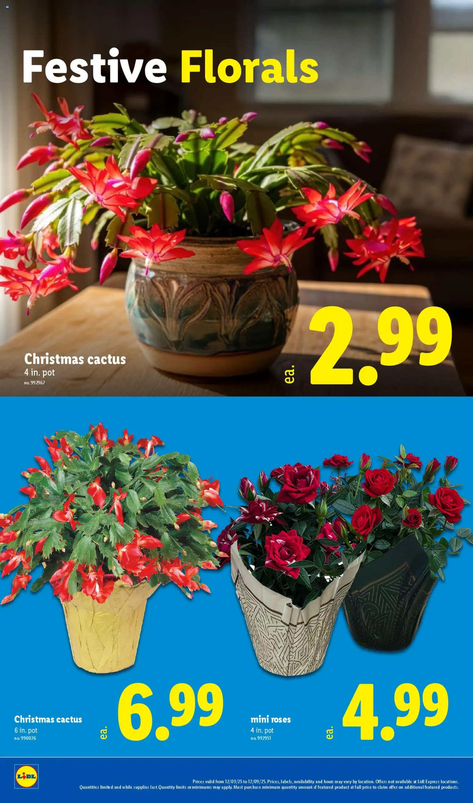 Lidl Weekly Ad - valid from 03.12.2025 | Page: 22