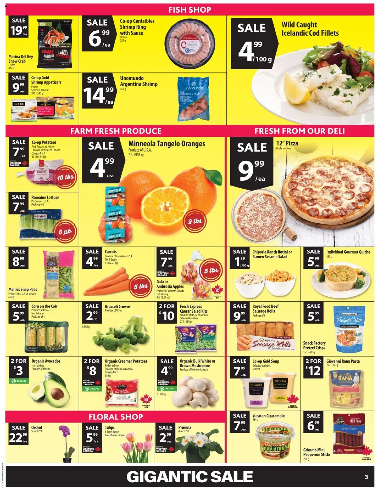 Co-op Food flyer valid from 22.01.2026 | Page: 5 | Products: Pasta, Pizza, Apples, Oranges