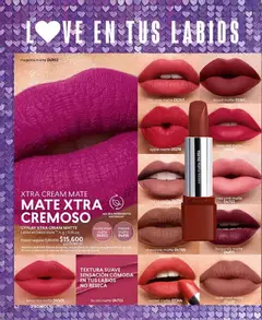 CyZone - Catálogo CyZone C03/2026 -  Vista previa de la revista de la tienda CyZone valido desde el 01.03.2026 | Página: 42