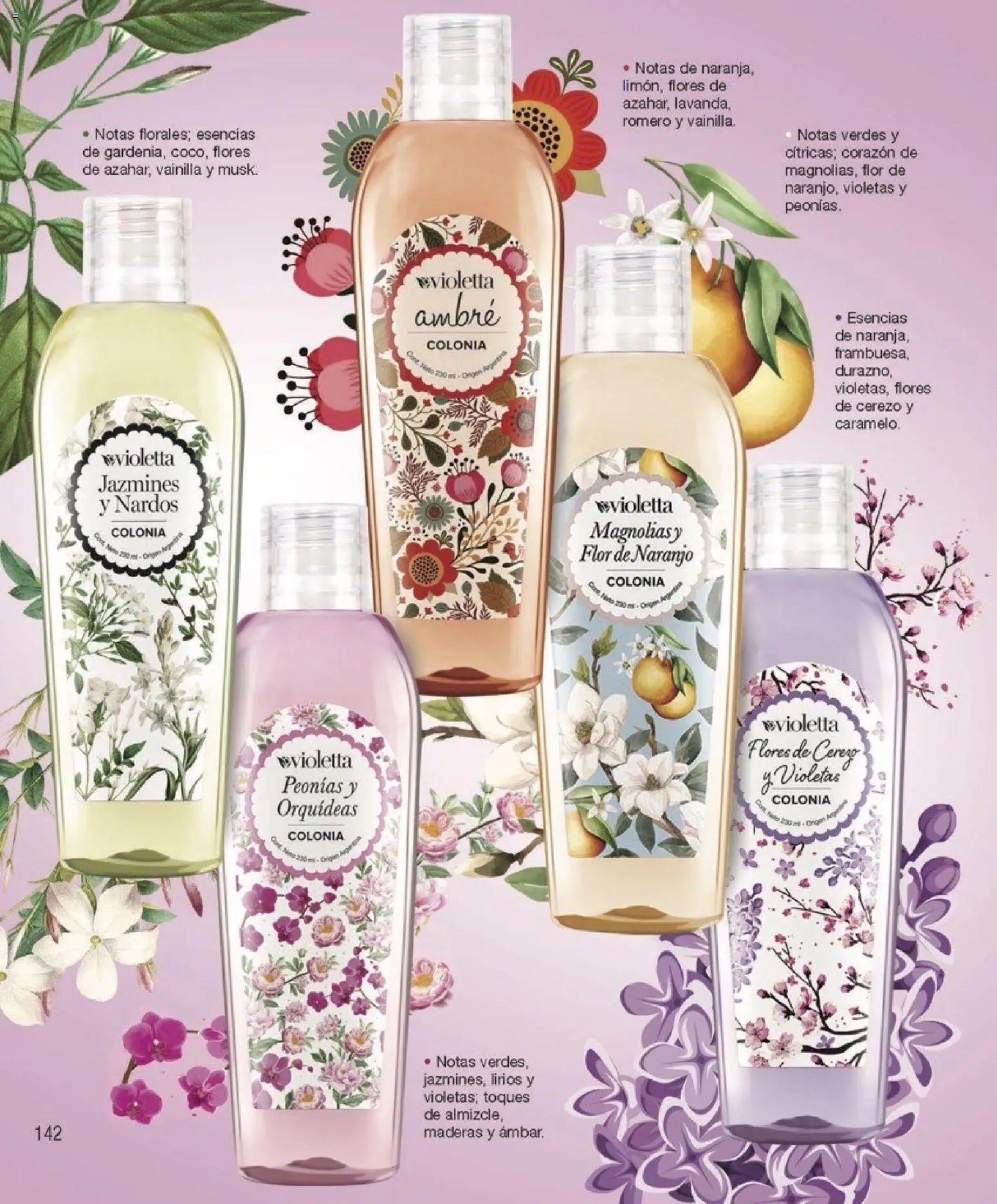 Violetta catálogo │ válido desde el 01.02.2026 | Página: 142 | Productos: Esencias