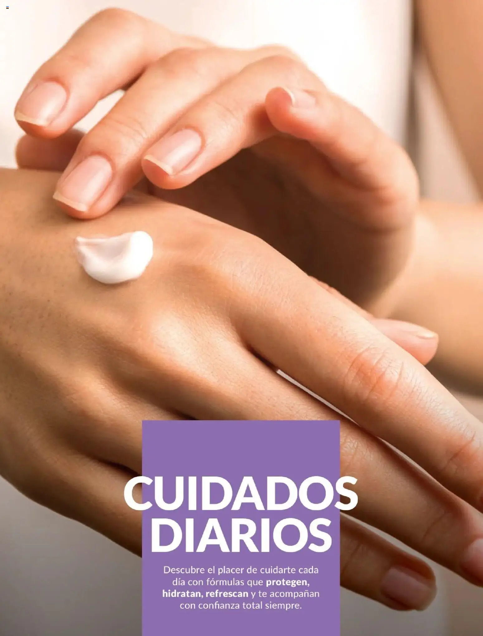 Catálogo Avon válido desde 21.04.2026 | Página: 138 | Productos: Té