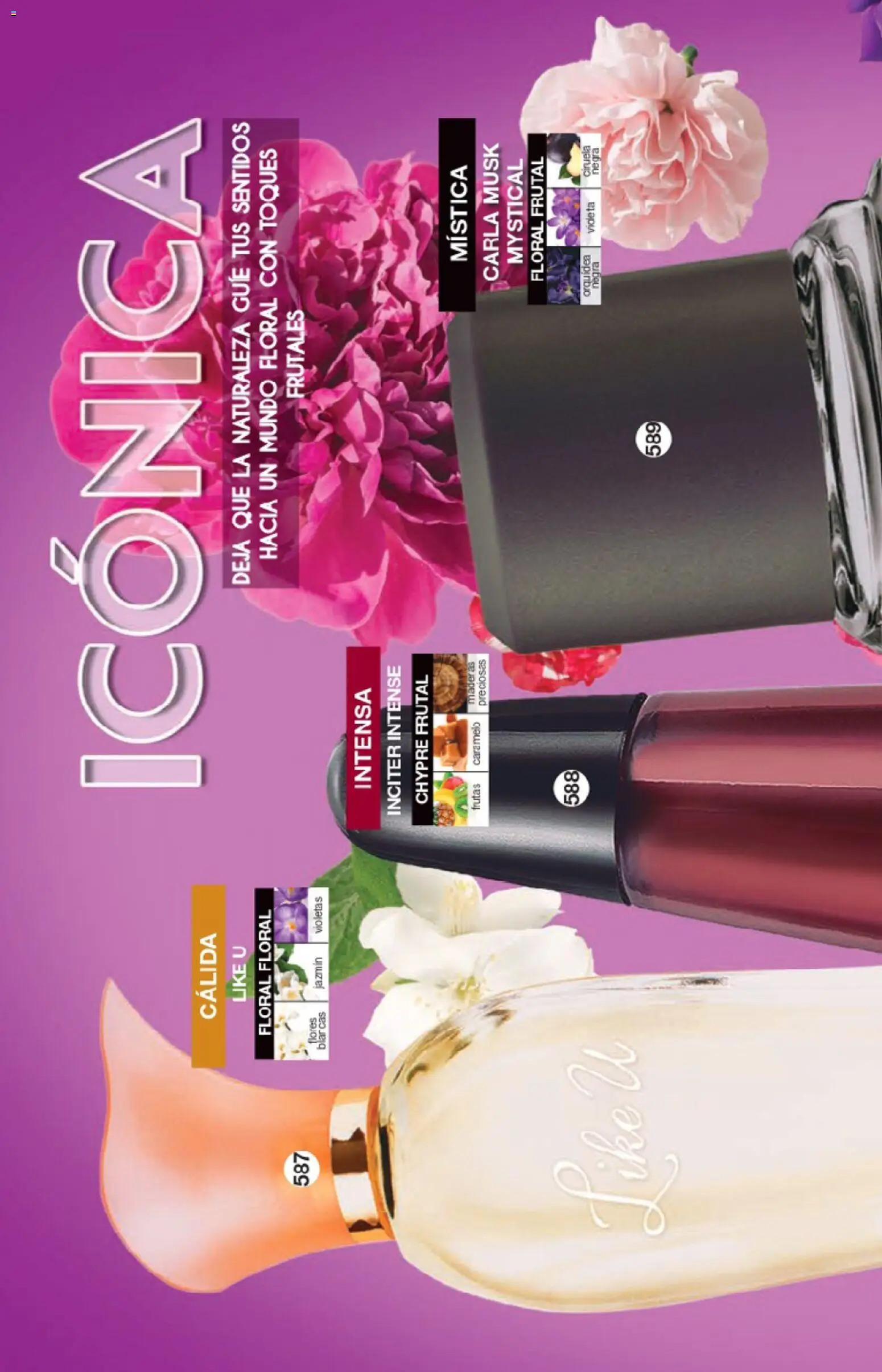 Nuevas ofertas de Fuller válidas en toda la República Mexicana desde el 04.02.2026. ¡Encuentra las mejores ofertas en Fuller campaña 22 2026! | Página: 208