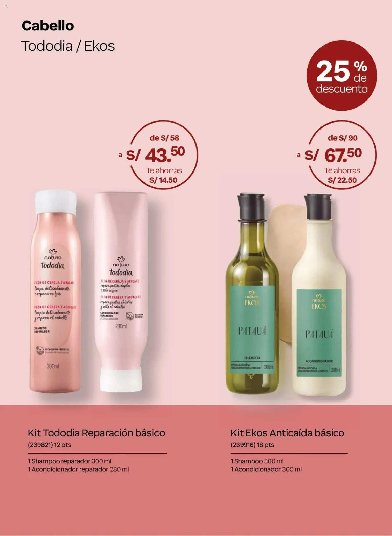 Catálogo Natura válido desde 20.02.2026 | Página: 13 | Productos: Shampoo, Acondicionador, Té