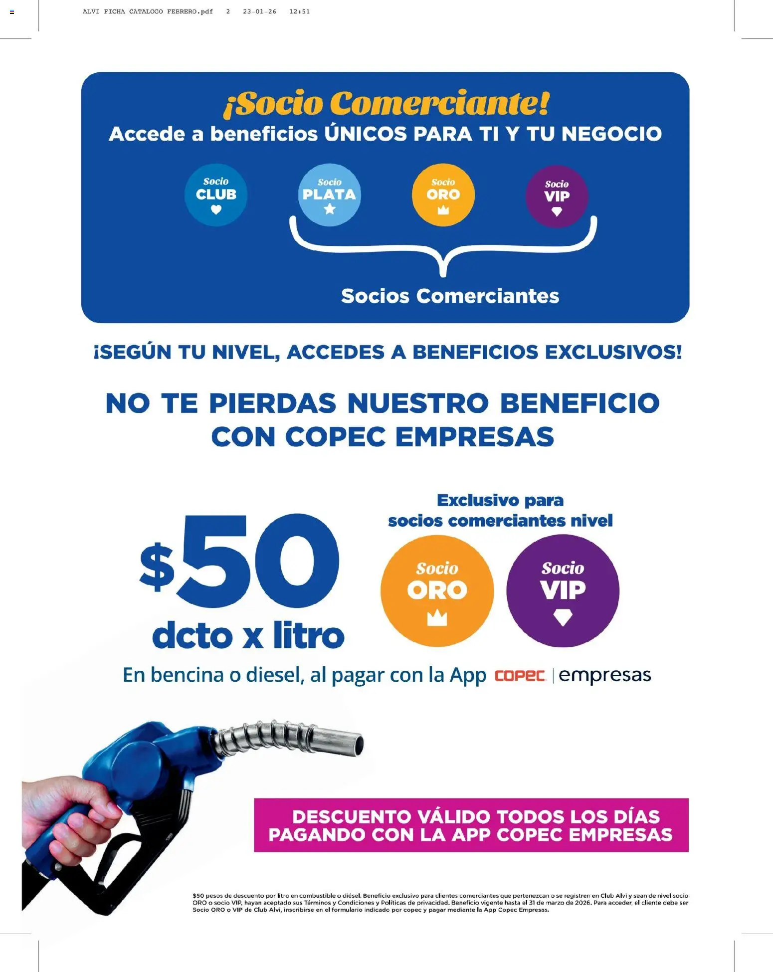 Alvi catálogo │ válido desde el 11.02.2026 | Página: 12 | Productos: Té