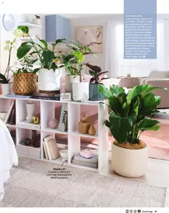 Preview of Catalogue Bunnings Warehouse February - valid from 01.02.2026 | Page: 21