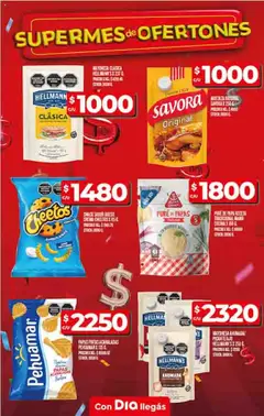 Supermercado DIA Ofertas │ válido desde el 09.07.2025 | Página: 15