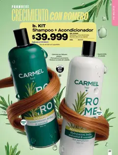 Carmel - Carmel C04 2026 -  Vista previa de la revista de la tienda Carmel valido desde el 01.04.2026 | Página: 217 | Productos: Shampoo, Brillo, Acondicionador