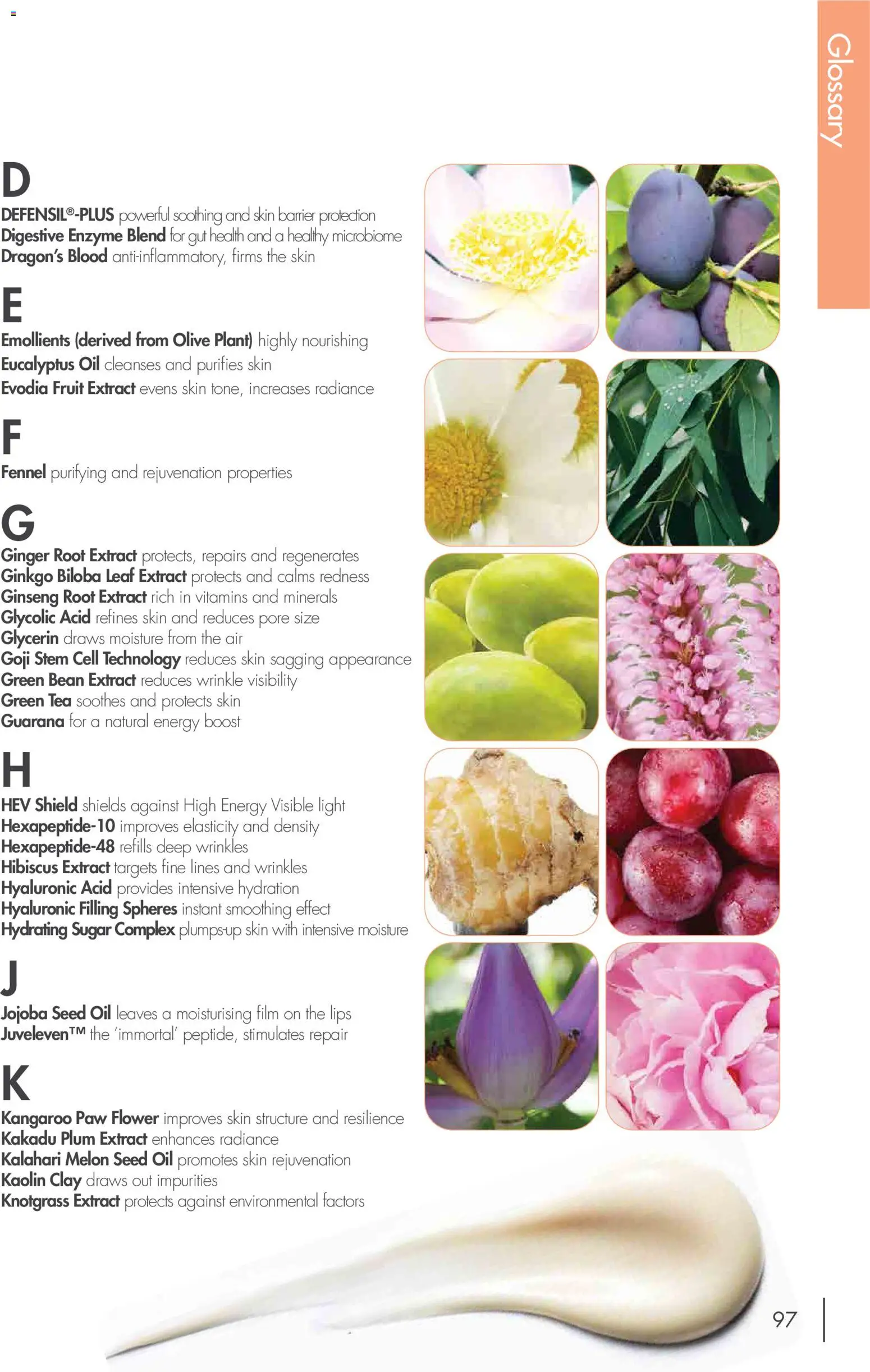 Nutrimetics catalogue - valid from 01.01.2026 | Page: 97 | Products: Light, Melon, Tea, Sugar