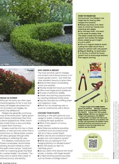 Preview of Catalogue Bunnings Warehouse March - valid from 01.03.2026 | Page: 46