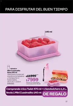 Vista previa Tupperware Black Friday válido desde el 30.10.2025 | Página: 58 | Productos: Sandwichera, Heladera