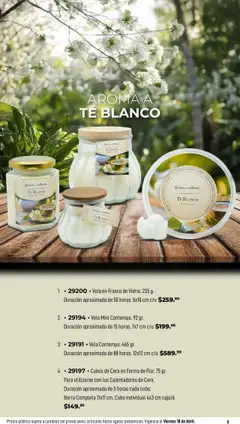 Vista previa de Home Interiors catálogo Magia de las Velas , nuevo folleto de la tienda, válido en México a partir del 31.03.2025 | Página: 8 | Productos: Frasco, Cera, Barra, Té