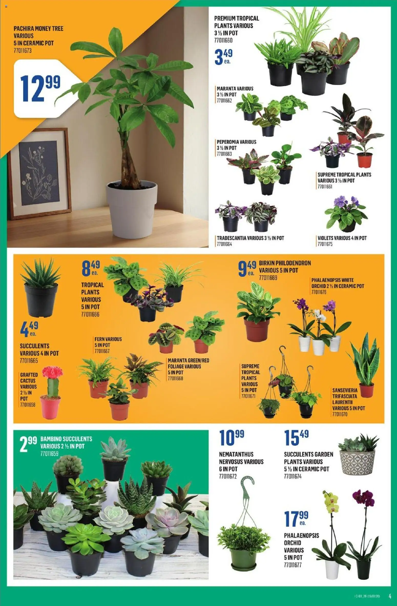 Canac flyer valid from 15.01.2026 | Page: 4