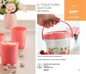 Nuevas ofertas de AVON válidas en toda la República Mexicana desde el 13.09.2025. ¡Encuentra las mejores ofertas en Bote 2L con 6 vasos rosas, Bote 2L con 6 vasos rosas. Plástico. (200324) 9 pts! | Página: 19