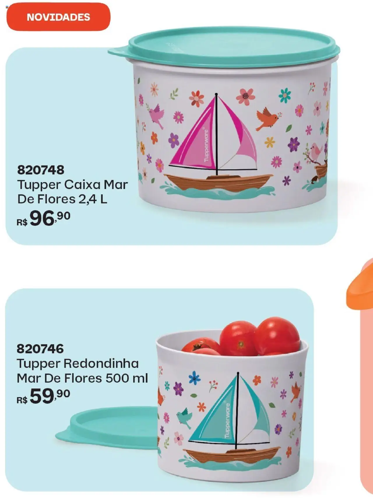 Tupperware Folheto - válido de 01.10.2025 | Página: 60 | Produtos: Flores, Caixa