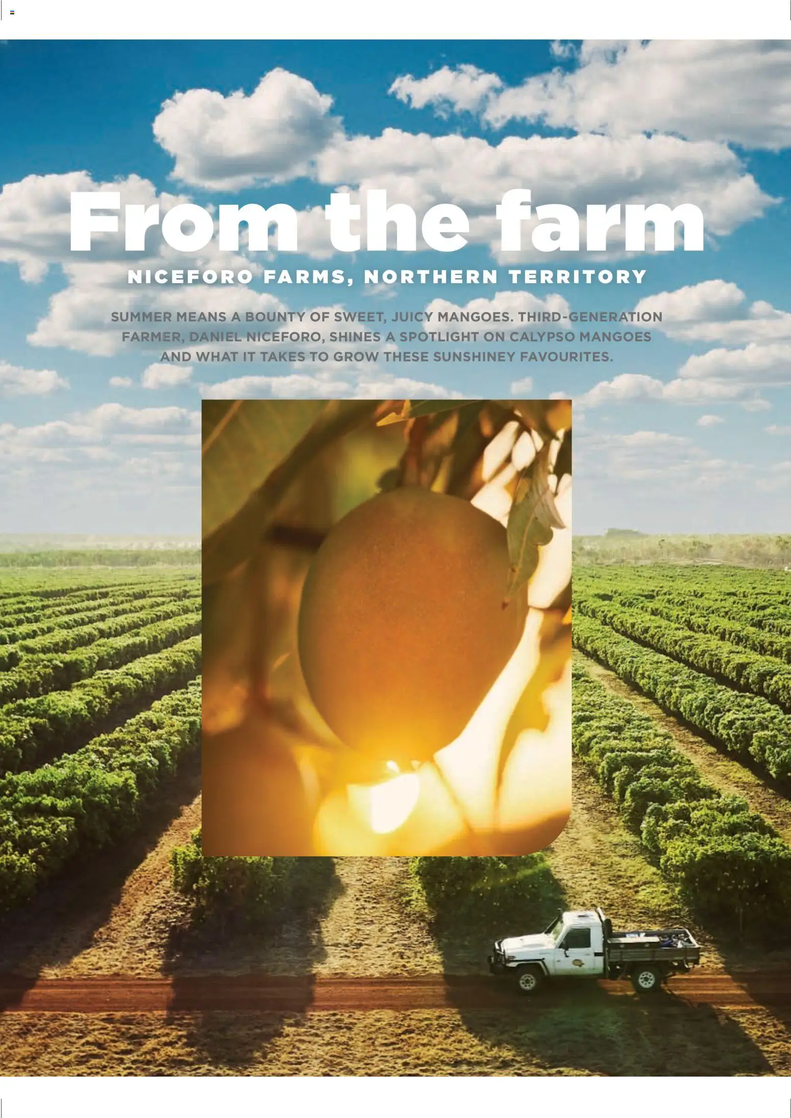 Coles catalogue - valid from 06.11.2025 | Page: 20