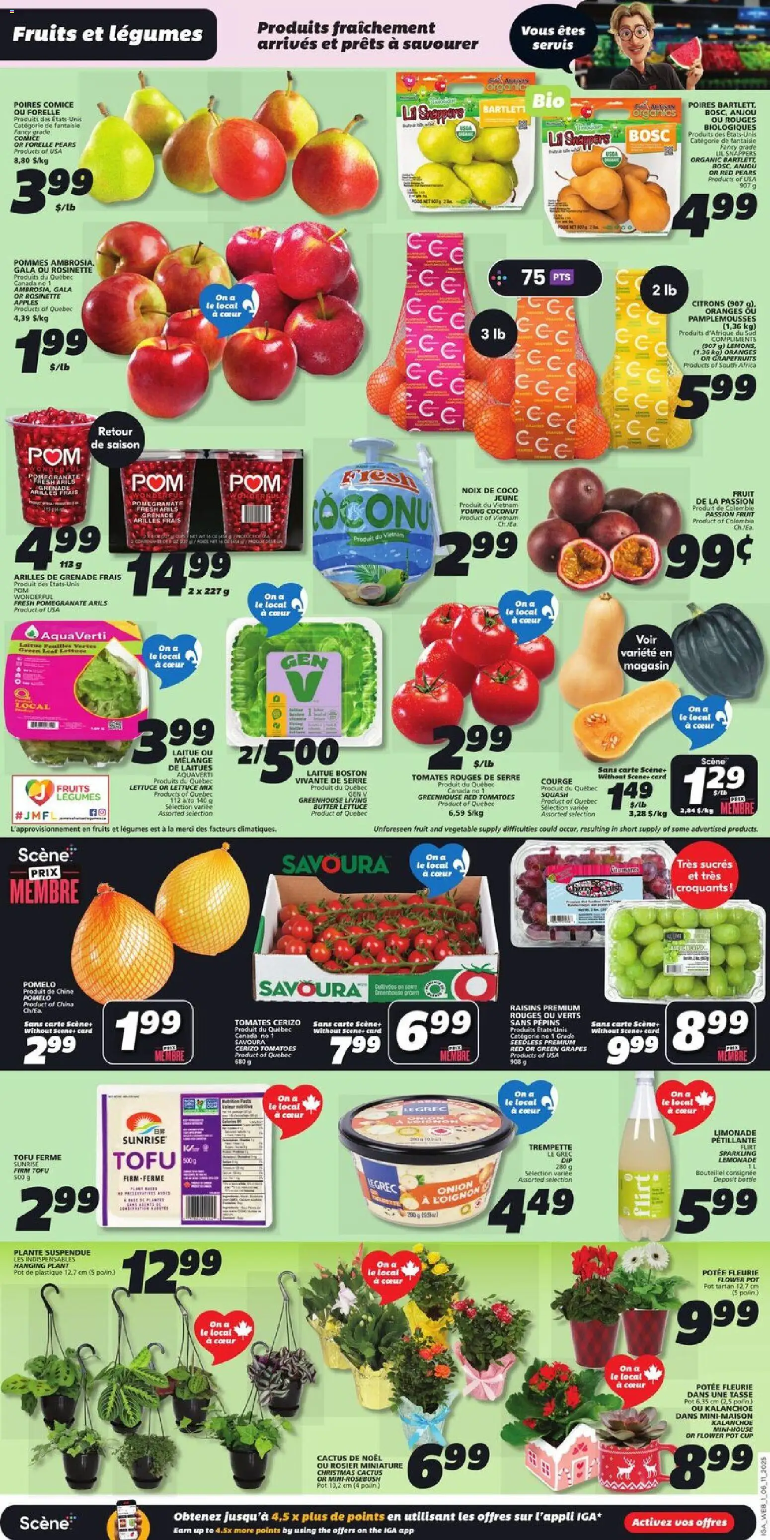 IGA flyer valid from 06.11.2025 | Page: 3