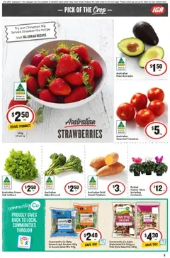 IGA catalogue - valid from 17.09.2025 | Page: 12