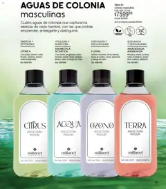 Millanel catálogo │ válido desde el 15.09.2025 | Página: 53 | Productos: Lima, Agua