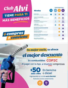 Alvi catálogo │ válido desde el 23.07.2025 | Página: 24 | Productos: Té
