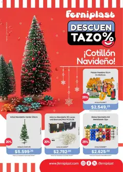 Vista previa Ferniplast catálogo válido desde el 27.11.2025