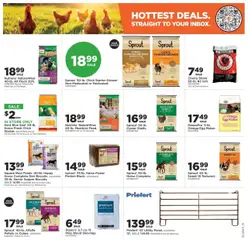 Mills Fleet Farm Weekly Ad - valid from 11.09.2025 | Page: 16 | Products: Flakes, Starter