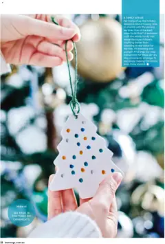 Preview of Catalogue Bunnings Warehouse December  - valid from 01.12.2025 | Page: 22