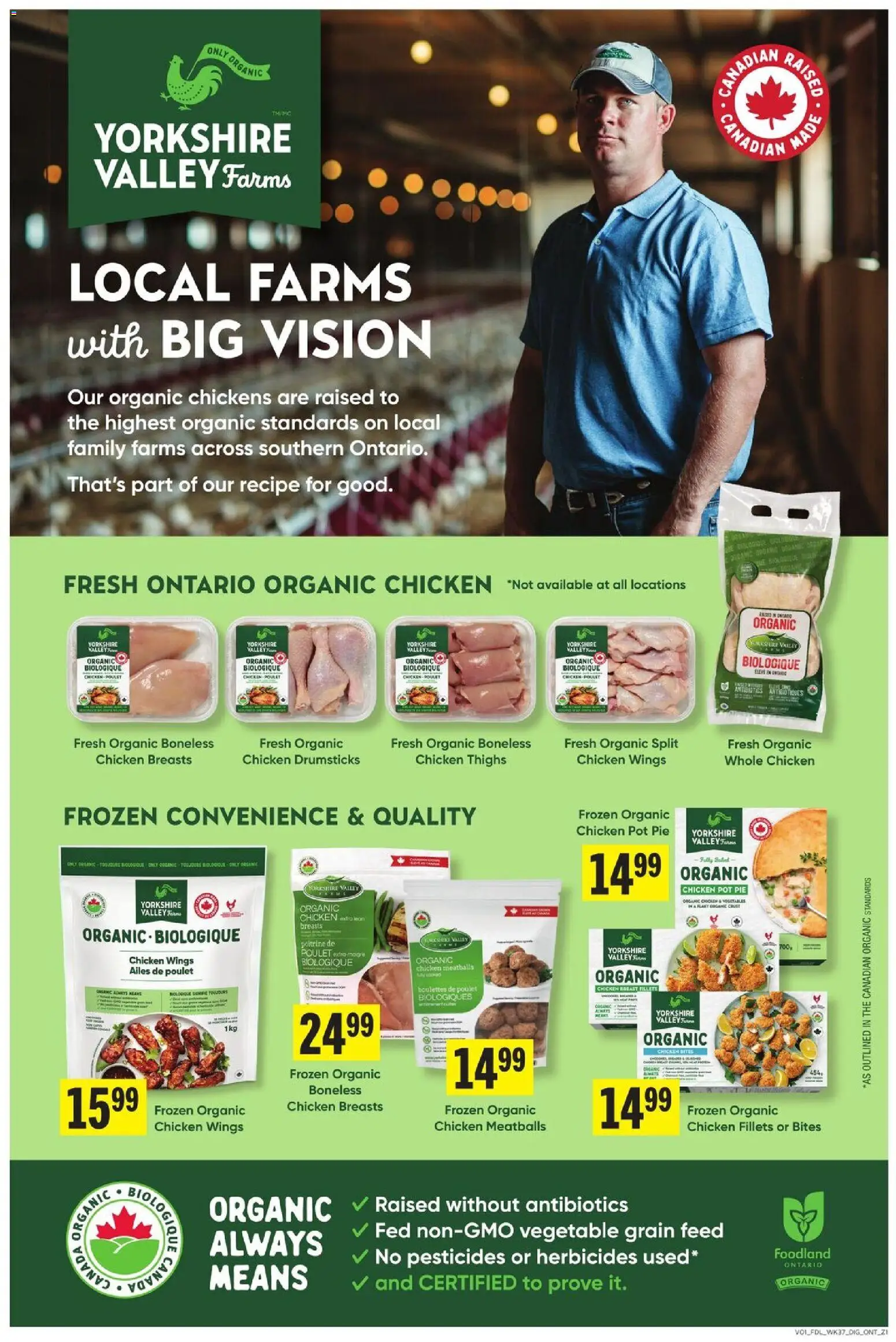 Foodland flyer valid from 08.01.2026 | Page: 6 | Products: Chicken wings, Chicken breasts, Chicken