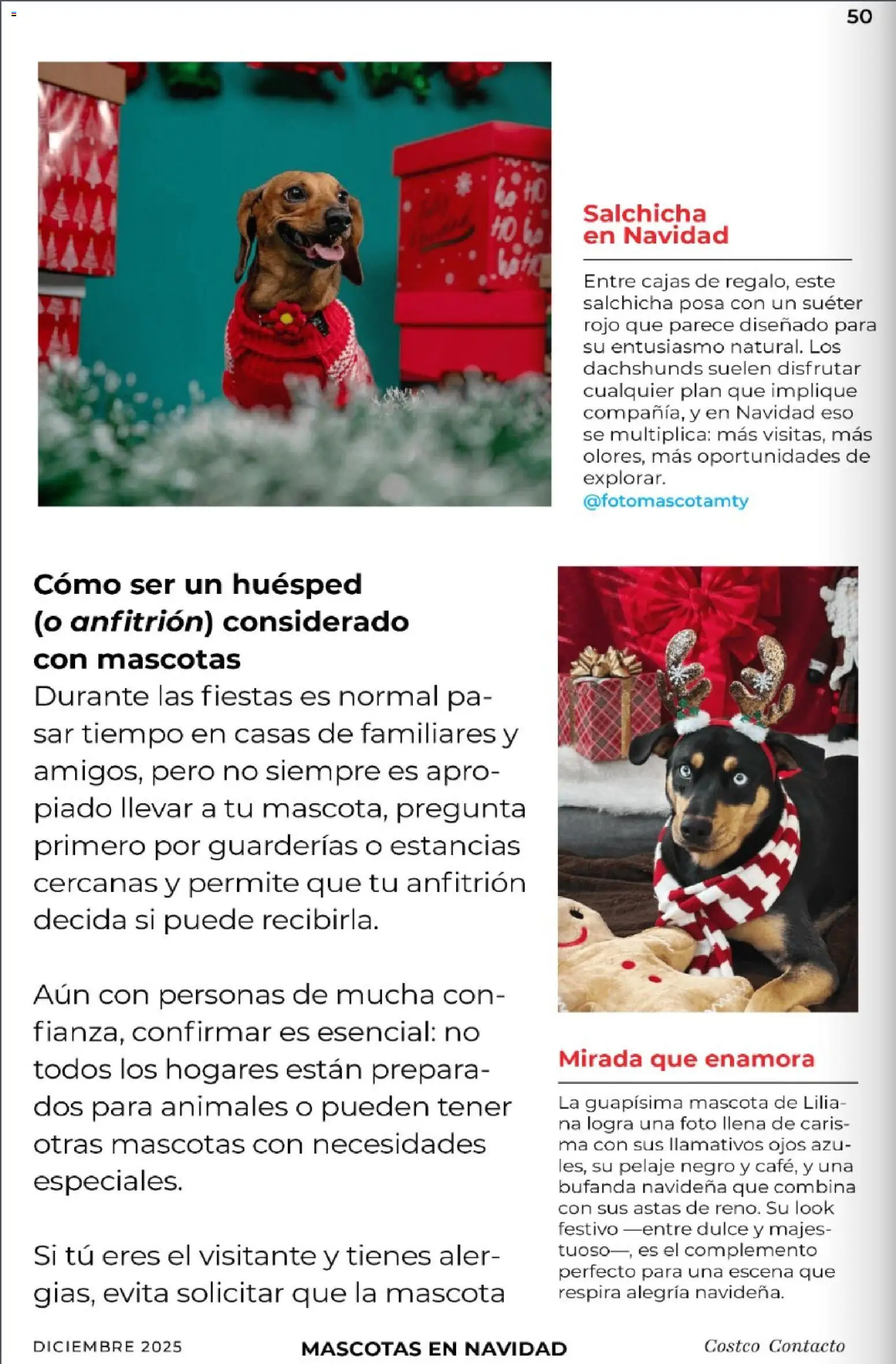 Nuevas ofertas de Costco válidas en toda la República Mexicana desde el 01.12.2025. ¡Encuentra las mejores ofertas en Costco Revista Diciembre! | Página: 50 | Productos: Suéter, Bufanda, Salchicha, Un suéter