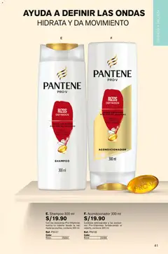 Vista previa de folleto Leonisa - Aliados Leonisa de la Leonisa válido desde 23.10.2025 | Página: 41 | Productos: Shampoo, Acondicionador