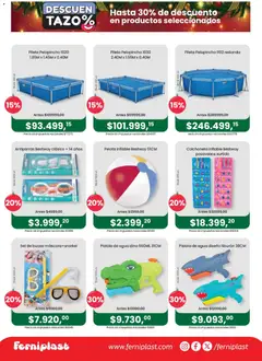 Vista previa Ferniplast catálogo válido desde el 11.12.2025 | Página: 4