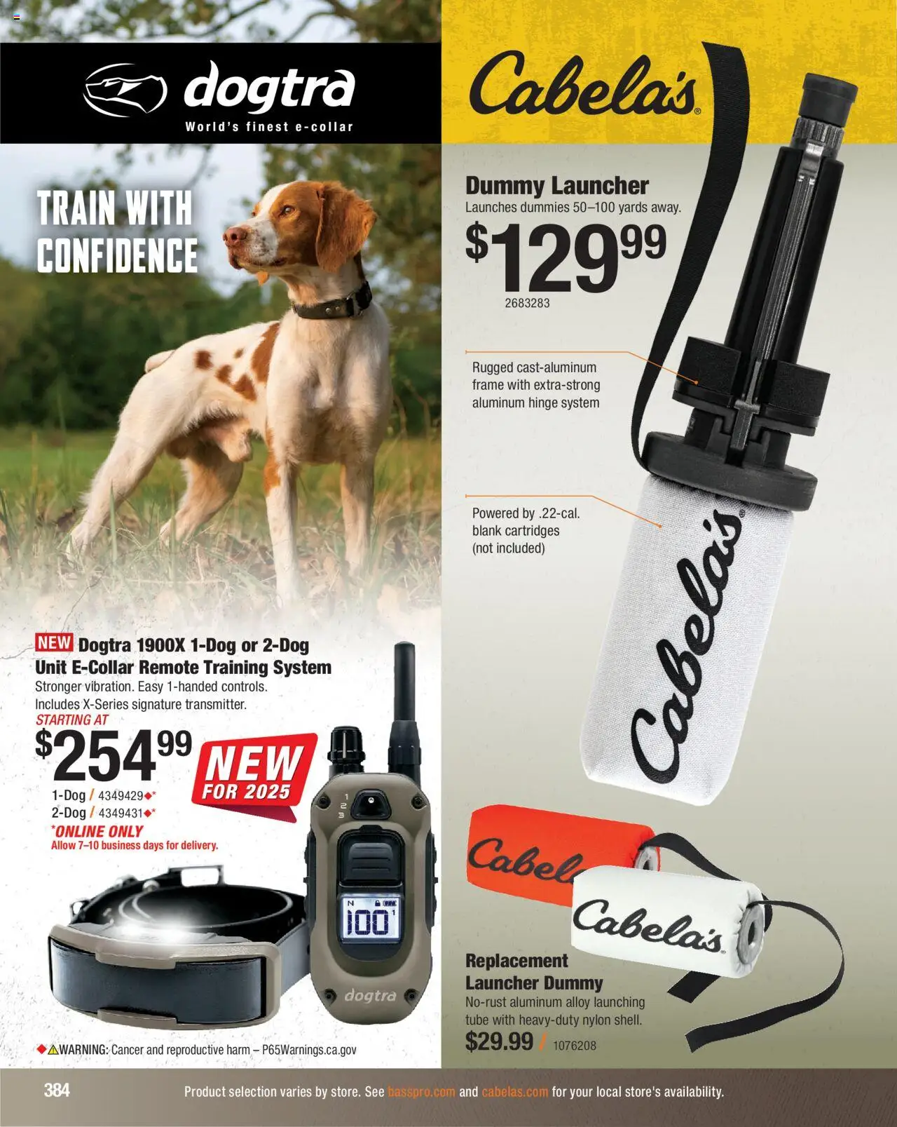 Cabela's Hunting Master 25 - valid from 11.08.2025 | Page: 384 | Products: Hinge