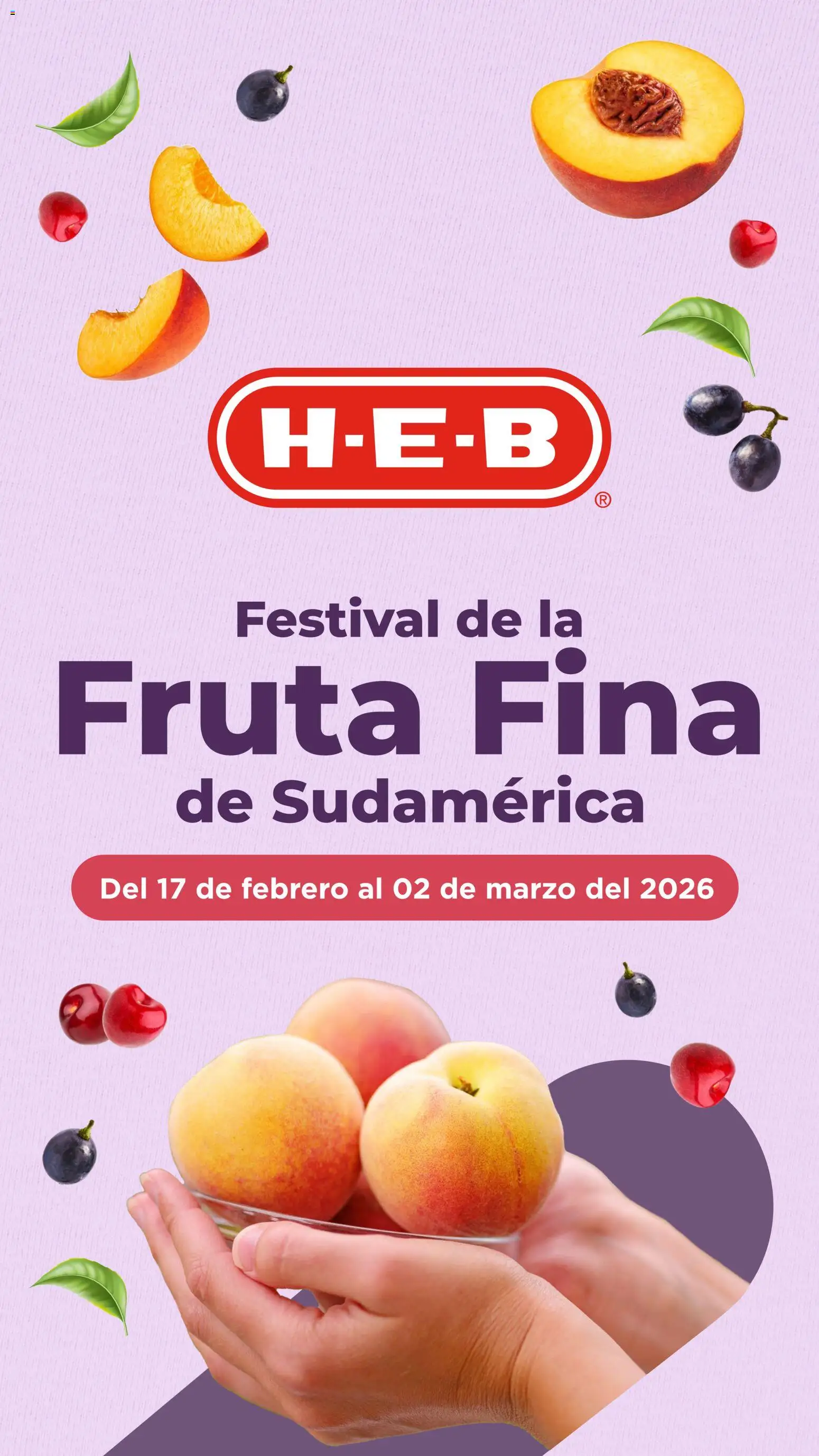 Nuevas ofertas de H-E-B válidas en toda la República Mexicana desde el 17.02.2026. ¡Encuentra las mejores ofertas en H-E-B folleto Festival fruta fina sudamerica! | Página: 1