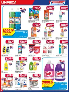 Maxiconsumo ofertas │ válido desde el 11.08.2025 | Página: 22