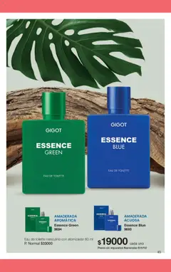 Vista previa Gigot catálogo válido desde el 01.10.2025 | Página: 63 | Productos: Eau de toilette