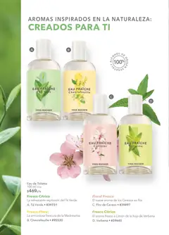 Vista previa de Yves Rocher campaña 4 2026, nuevo folleto de la tienda, válido en México a partir del 03.03.2026 | Página: 78