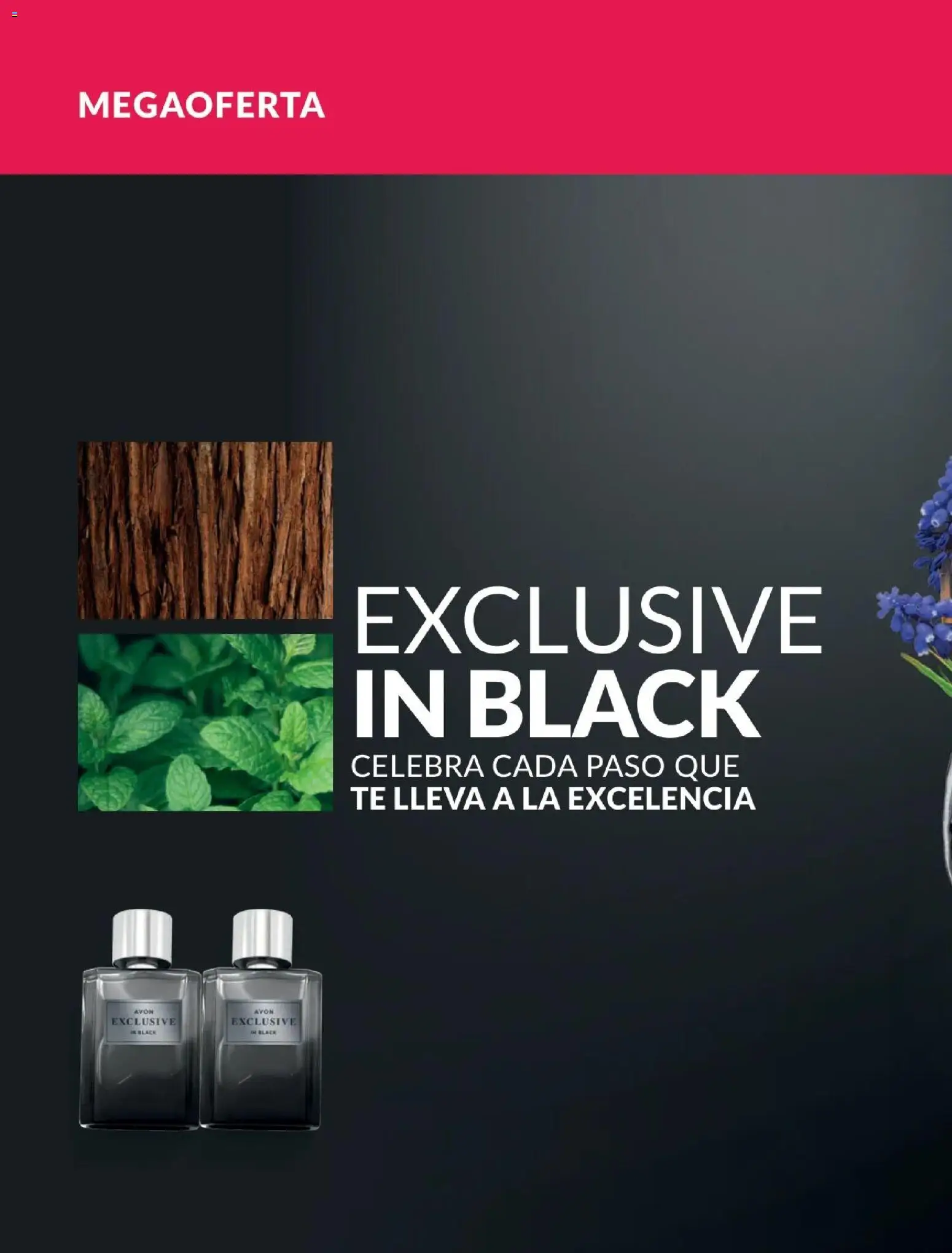 Catálogo Avon válido desde 21.04.2026 | Página: 90 | Productos: Té