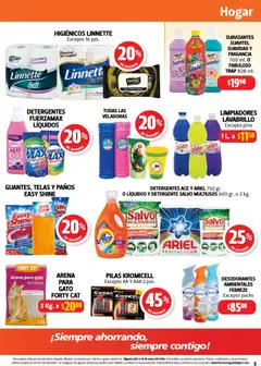 Vista previa de Farmacia Guadalajara catálogo, nuevo folleto de la tienda, válido en México a partir del 01.01.2026 | Página: 5 | Productos: Detergente, Papel higiénico, Fragancia, Sobre