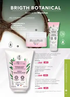 Vista previa de Yves Rocher campaña 2 2026, nuevo folleto de la tienda, válido en México a partir del 20.01.2026 | Página: 25 | Productos: Exfoliante facial, Nuez, Radiante, Mascarilla