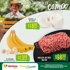 Vista previa de Soriana - Martes y Miércoles del Campo Súper: Ver, Tab, Chis, Camp, Yuc y Q. Roo, nuevo folleto de la tienda, válido en México a partir del 29.07.2025